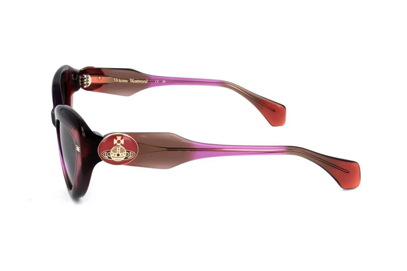 Vivienne Westwood VW5053 Sunglasses - view 4
